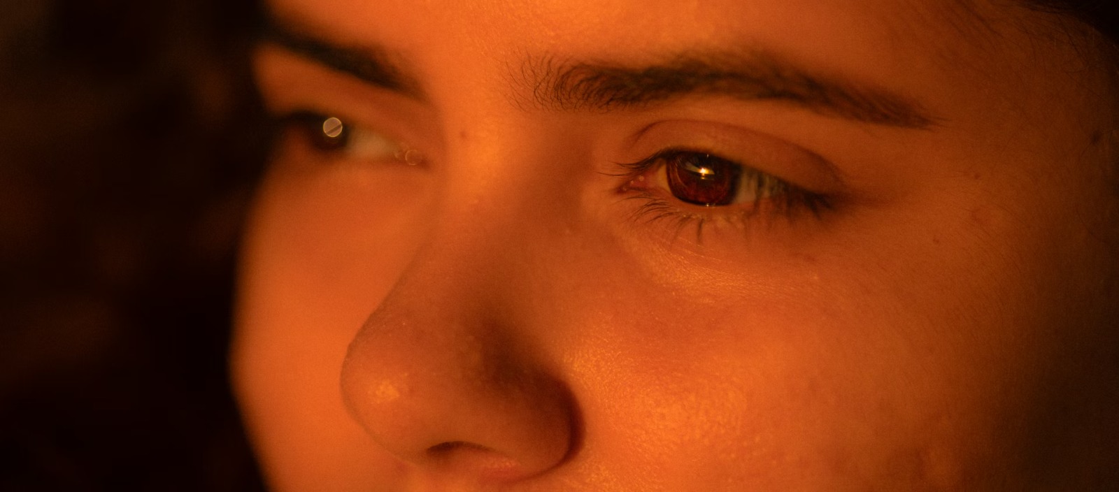 L'œil : miroir de l'âme et guide de la vision